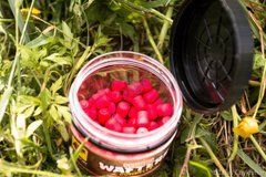 Бойлы CC Baits Pop Ups Fluoro Wafters Plum & Caproic Acid, 20шт