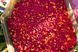 Пеллетс CC Baits Micro Feeder Pellets Plum, 800гр