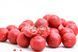 Бойлы CC Baits пылящие Professional Soluble Exorcist 20мм, 1кг